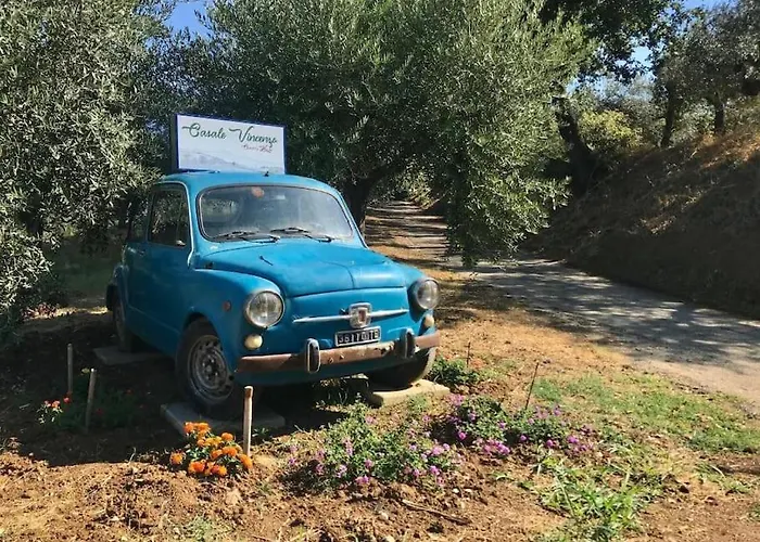 Olivo Διαμέρισμα