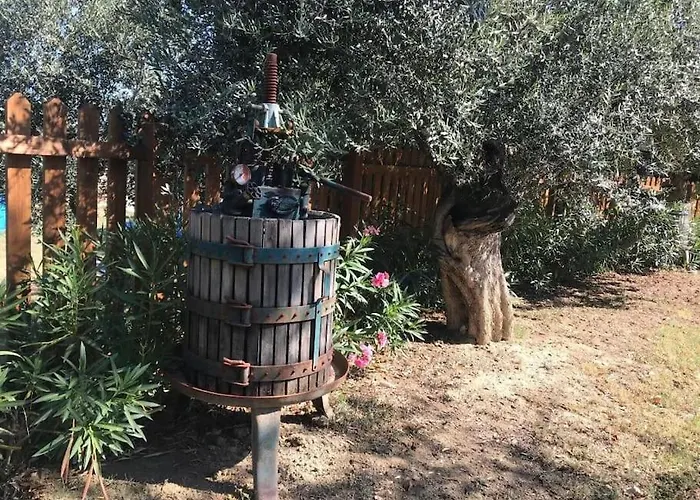 Διαμέρισμα Olivo